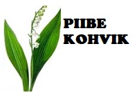 piibe